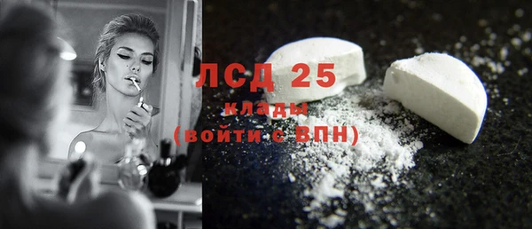 молекула духа Богородицк