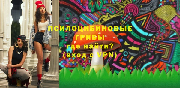 молекула духа Богородицк