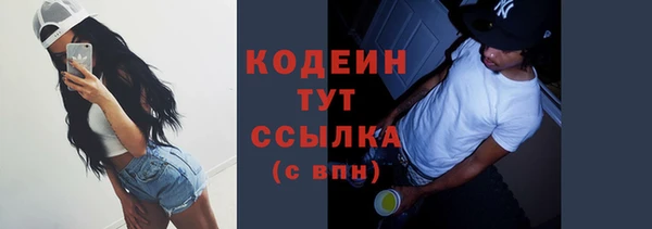 молекула духа Богородицк