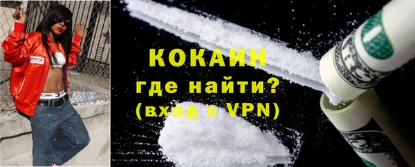 молекула духа Богородицк
