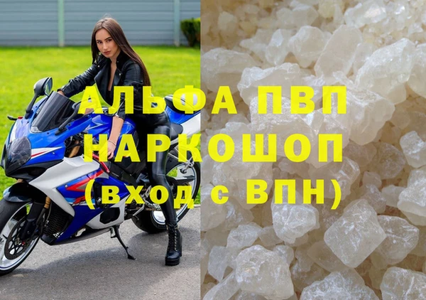 молекула духа Богородицк